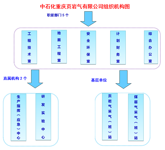 pic_organizational.jpg